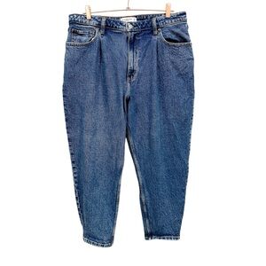 Abercrombie & Fitch Curve Love The 80s Mom High Rise Jeans Size 16/33 Short